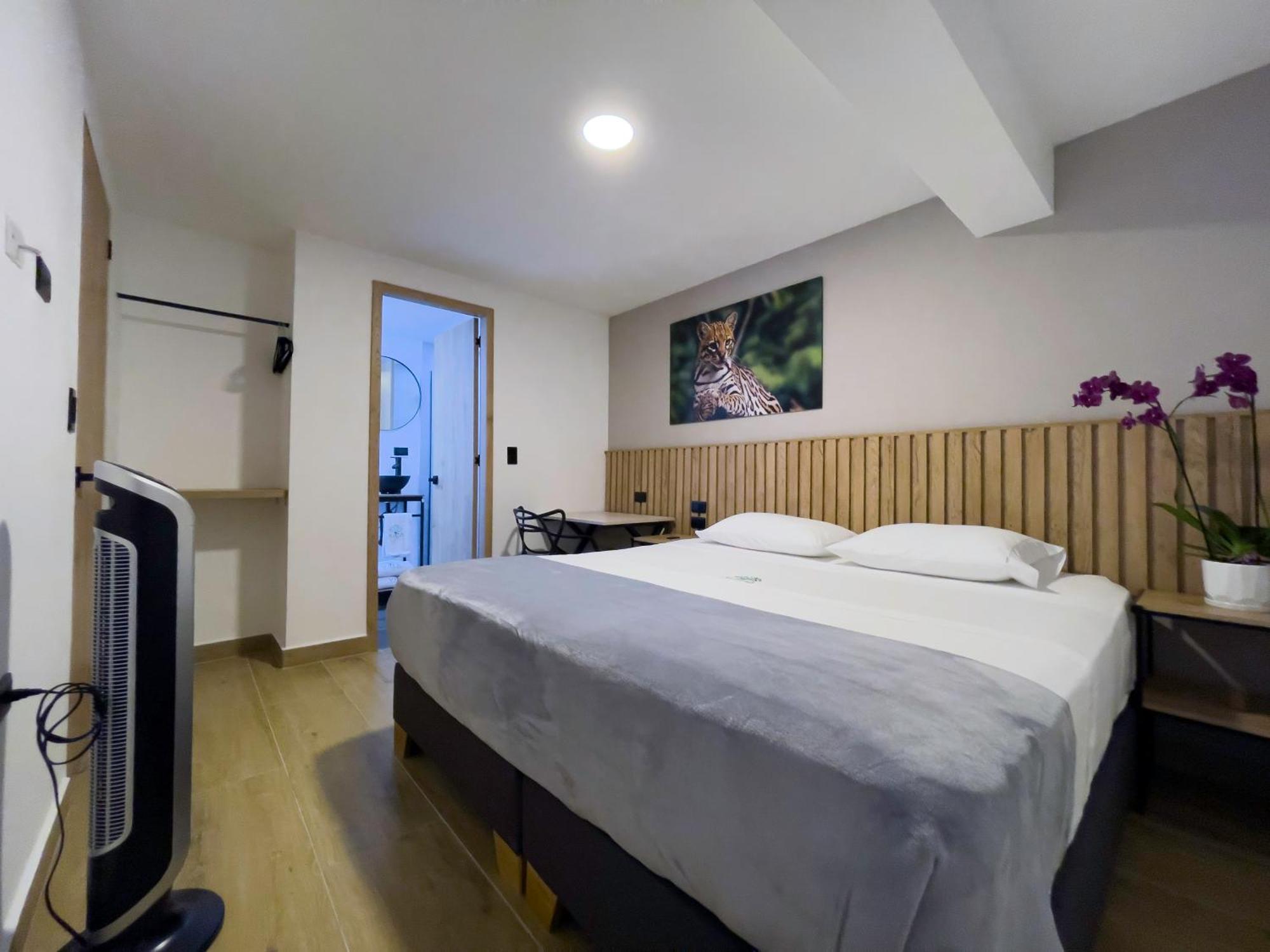 Vita Hotel Boutique Medellín Kültér fotó